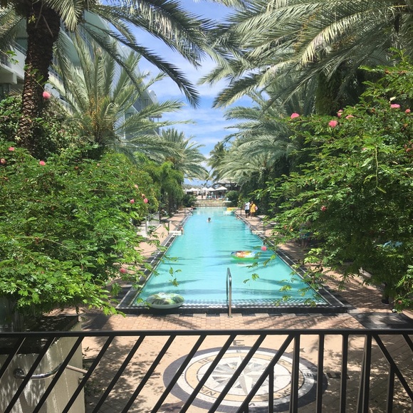 Meet your Posher, Leandre - Picture 2 of 2